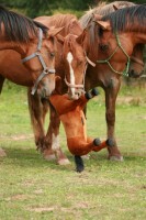 /album/experiment/snimek-109-jpg/